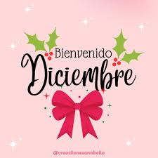 ✨????????Bienvenido Diciembre????????✨ Recibo este mes, el más bello de año con  mucha fe de que será lleno de bendiciones!! ???????? Buenas vibras de  bendiciones para ustedes!???? #creaciionesanabella #diciembre2021 #vibras  #ideas #siendopartedetusideas #emprendedora