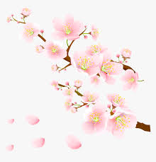 The image is transparent png format with a resolution of 8000x4600 pixels, suitable for design use and personal projects. Pink Flowers Png Clipart