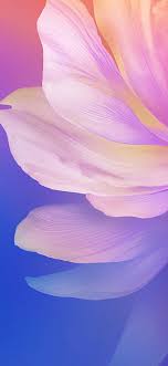 Vivo S5 Wallpaper Ytechb Exclusive In 2020 Nature Iphone Wallpaper S5 Wallpaper Pastel Pink Wallpaper Iphone
