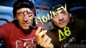 Reviewing Flying Monkey fruity pebbles Delta 8 vape pen [MUEidjPrvvl]