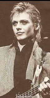 Swedish pop star biography