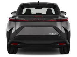 Image result for Black Onyx 2024 RZ