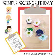 Kids can work on color sorting, number sense, and patterning perfect for your flowers theme, plant theme, spring theme, summer theme units and lesson plans. Simple Science Color Changing Flowers First Grade Buddies