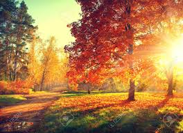 Unlike thanksgiving trees autumn trees are purely cosmetic and cannot be harvested. Fall Trees Lessons Blendspace