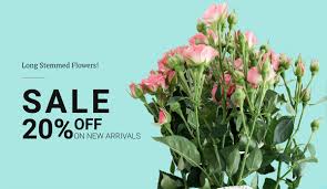 Proflowers.com has been visited by 10k+ users in the past month 26 Beautiful Flower Website Templates For Spring Mood 2021 Colorlib