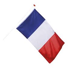 Vive la france och vive ta mig sjutton allt! Flagga Frankrike 90x150cm Partykungen
