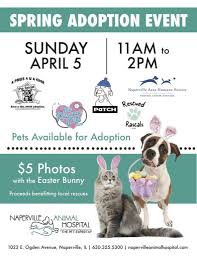 Pet supply store offering all natural food and treats for your cats and dogs! Spring Adoption Event The Rescue Vets