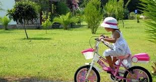 Tasitlar Hayat Bilgisi Videolar Ve Tasitlar