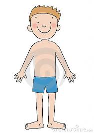 Start studying spanish body parts!. Spanish Body Parts Part 2 Diagram Quizlet