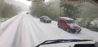 Și da, ce bine e acasă! Foto Ninge Ca N Povesti LangÄƒ Cluj Vreme De Inceput De VarÄƒ