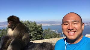 Arguably, the monkeys of gibraltar are the main attraction at the rock of gibraltar. Monkeys In Gibraltar Brits And Barbary Apes Youtube