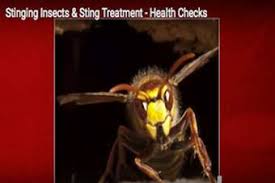 This will prevent them from simply moving to the untreated side of your house instead of moving off your property completely. Get Rid Of Mud Daubers Mud Dauber Stings Info More