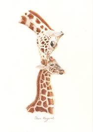 Giraffe Mother Calf Original Hand Drawn Art By Claire Margaret Hand Art Drawing Animal Portraits Art Animal Art