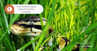 Keeping trees and shrubs trimmed away from your house with a space of at least 6 inches between the ground and the first branches will help keep snakes store firewood away from your home. How To Keep Snakes Away From Your Campsite Takeoutdoors