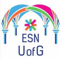 The organization supports and develops student exchanges, both inside the erasmus+ programme and outside of it. Esn Of Uofg Erasmus Student Network Gusrc