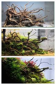 Post Anything From Anywhere Customize Everything And Find And Follow What You Love Create Your Aquascape Aquarium Landscape Aquascape Aquarium
