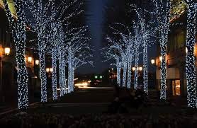 Maybe you would like to learn more about one of these? Downtown Decorations Tree And Foliage Lighting Commercial Christmas Decorations L Commercial Christmas Lights Zoo Lights Decorating With Christmas Lights
