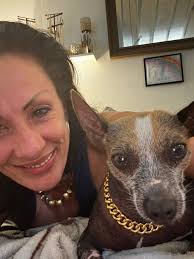 What small to medium size dogs are good with kids in York PA area?