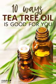 10 Ways Tea Tree Oil Is Good For Your Health Five Spot Green Living