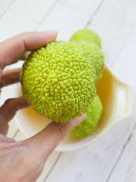Check spelling or type a new query. How To Use Hedge Apples To Repel Spiders The Homespun Hydrangea