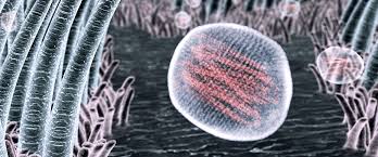 Image result for Influenza