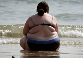 Image result for fat