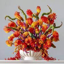 Emma Bass On Instagram Red Hot Pokers Smoldering In A Gigantic Wade Vase Avec Bromeliads Berries And Billy Billy Buttons Flower Arrangements Bromeliads