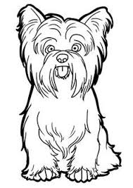 Pin By Janet Cheefus On Dogs Yorkie Painting Dog Coloring Page Puppy Coloring Pages
