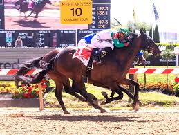 Below you'll find a preakness betting guide with the different types of horse racing bets you can make along with. Axwv4ybkepenrm