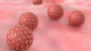 التهديد بند صفق اسباب فيروس hpv عند الرجال dsvdedommel com