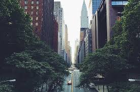 Nyc is diverse and there are more than 800 languages spoken in the city. Immobilien In New York City Ein Vergleich Nyc Info De