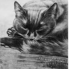 Mlkmavci On Twitter Kedi Cats Karakalem Kedicizimi Catdrawing Animal Animalpaintings Youtube Youtuber Pencildrawing Resim Art Sanat Https T Co Ao5rtpdslx