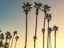 The 40 Best Instagram Spots In La Photography Guide California Crossroads