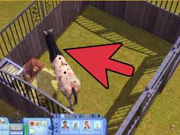 Sims 4 bird mod is handy for you to inquiry on this website. 3 Ways To Adopt A Unicorn On The Sims 3 Pets Pc Wikihow