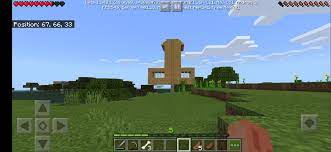 Yes this is a Penis House in Minecraft. Yes there is a place with  coordinates 69 69 69 in it. Yes it's not symmetrical and yes my hand is  kinda red. Yes