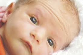 Cooper Paul Greiner new arrival