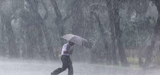 We did not find results for: Arti Mimpi Hujan Deras 20 Tafsir Menurut Psikolog Dan Primbon Jawa