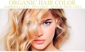 Ava nearby salon is a website developed and managed to help customers find their favorite salons, or find salons that provide specific services. Experts In Beauty Care