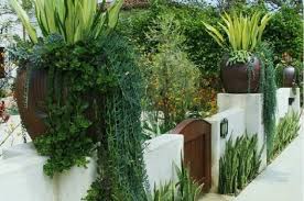 Desain taman ini lebih modern karena memiliki perpaduan tanaman serta material disekitarnya yang lebih sederhana. 10 Jenis Taman Depan Pagar Rumah Minimalis Modern Kontraktor Surabaya Cv Damarta Graha