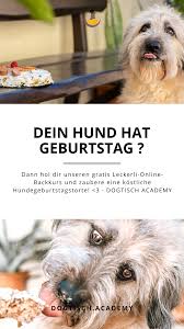 Pin Auf Hunde Blogs Auf Deutsch Diy Fotografie Basteln Wandern Pflege Tipps Rassen Rezepte Tricks Reisen Spiele Erziehung Welpen Bilder Kleidung Gruppenboard