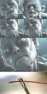 Courage Gollum Tu Vas Y Arriver Images Droles Image Humour Images Droles Humour