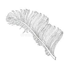 Just print and display these wall art printables. Palm Leaf Black White Stock Illustrations 24 266 Palm Leaf Black White Stock Illustrations Vectors Clipart Dreamstime