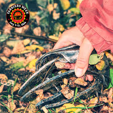 Profile for Heath Lash Horseshoeing