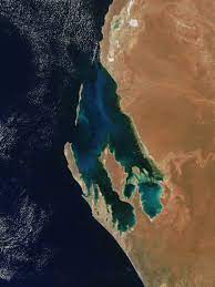 Shark Bay Wikipedia