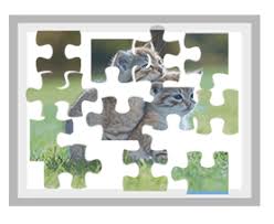 Check spelling or type a new query. Play Jigsaw Puzzles Online For Free Proprofs Games