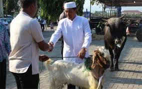 Dahulu ada seseorang dimasa rasulullah shallallahu 'alaihi wa sallam menyembelih. Bolehkah Berkurban Dengan Cara Kredit Bincang Syariah