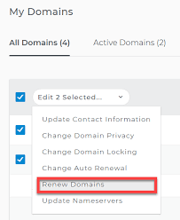Domain Faqs Dotster