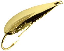 Spoon-feeding spring redfish