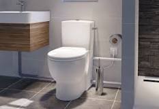 Quels sont les différents types de toilettes ? | SFA