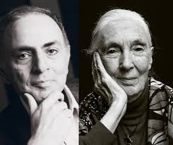 In what terms should we think of these beings, nonhuman yet possessing so  very many human-like characteristics? How should we treat them? Surely we  should treat them with the same consideration and